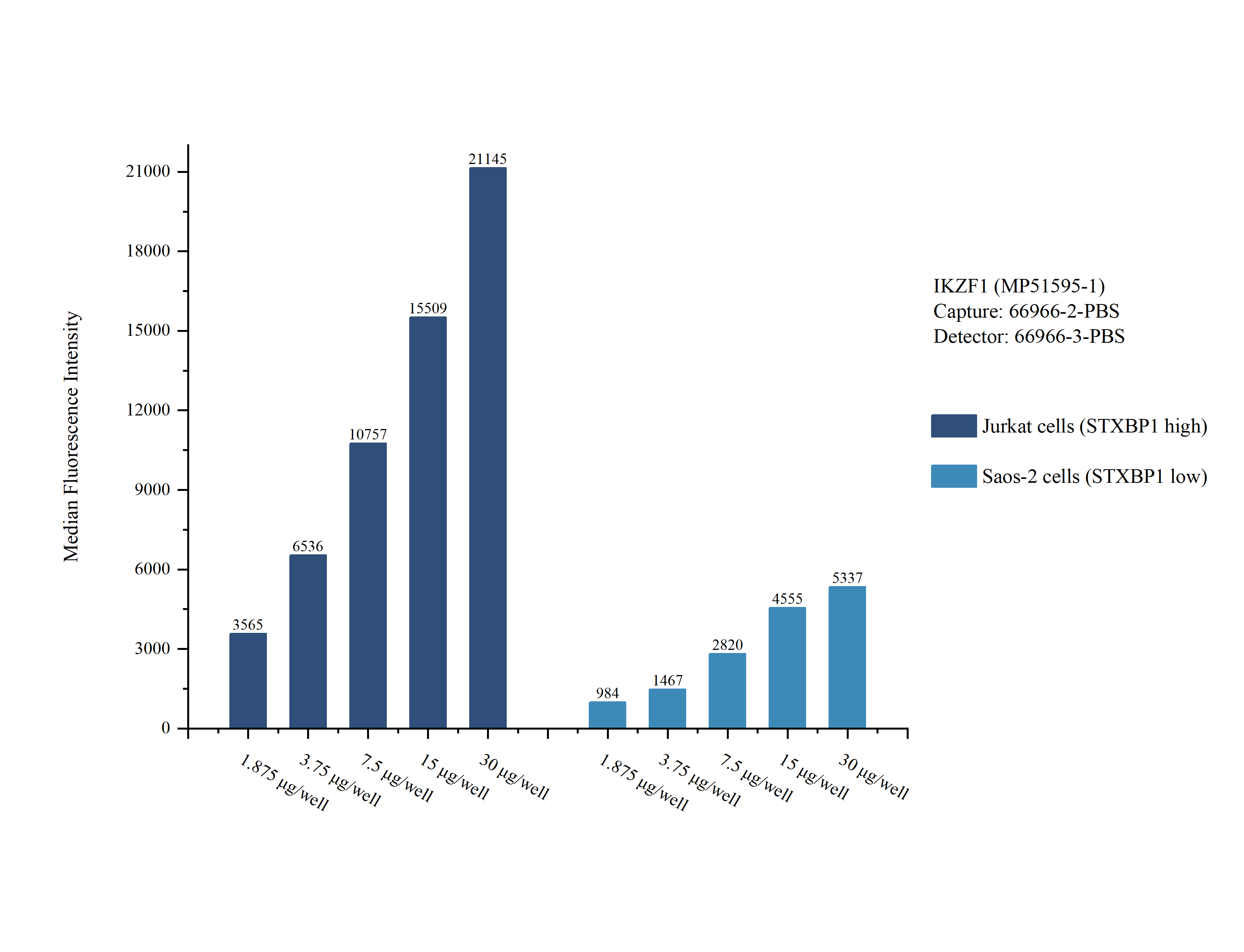 Cytometric bead array sample test of MP51595-1, IKZF1 Monoclonal Matched Antibody Pair, PBS Only. Capture antibody: 66966-2-PBS. Detection antibody: 66966-3-PBS. 