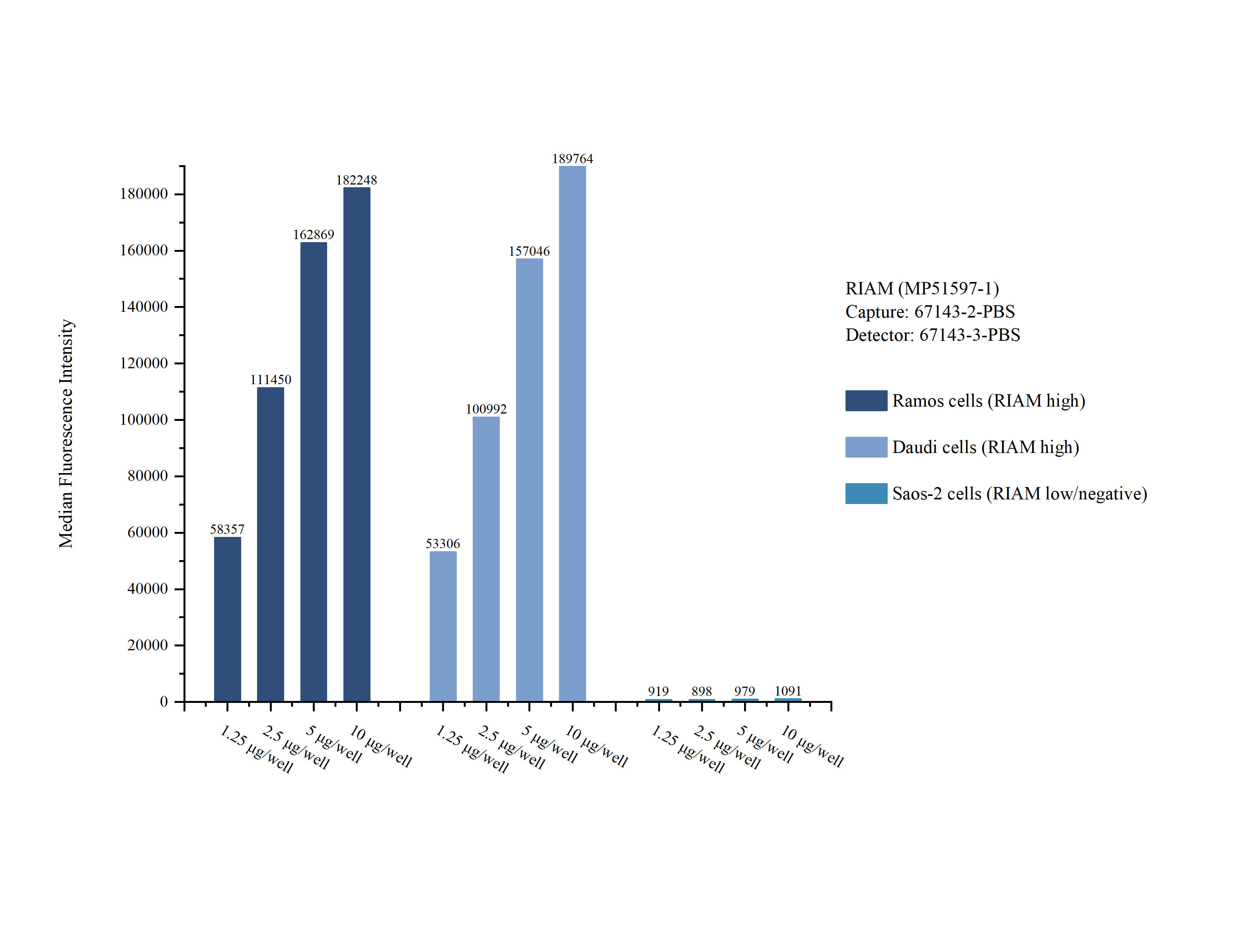 Cytometric bead array sample test of MP51597-1, RIAM Monoclonal Matched Antibody Pair, PBS Only. Capture antibody: 67143-2-PBS. Detection antibody: 67143-3-PBS. Cytometric bead array sample test of MP51597-1, RIAM Monoclonal Matched Antibody Pair, PBS Only. Capture antibody: 67143-2-PBS. Detection antibody: 67143-3-PBS.