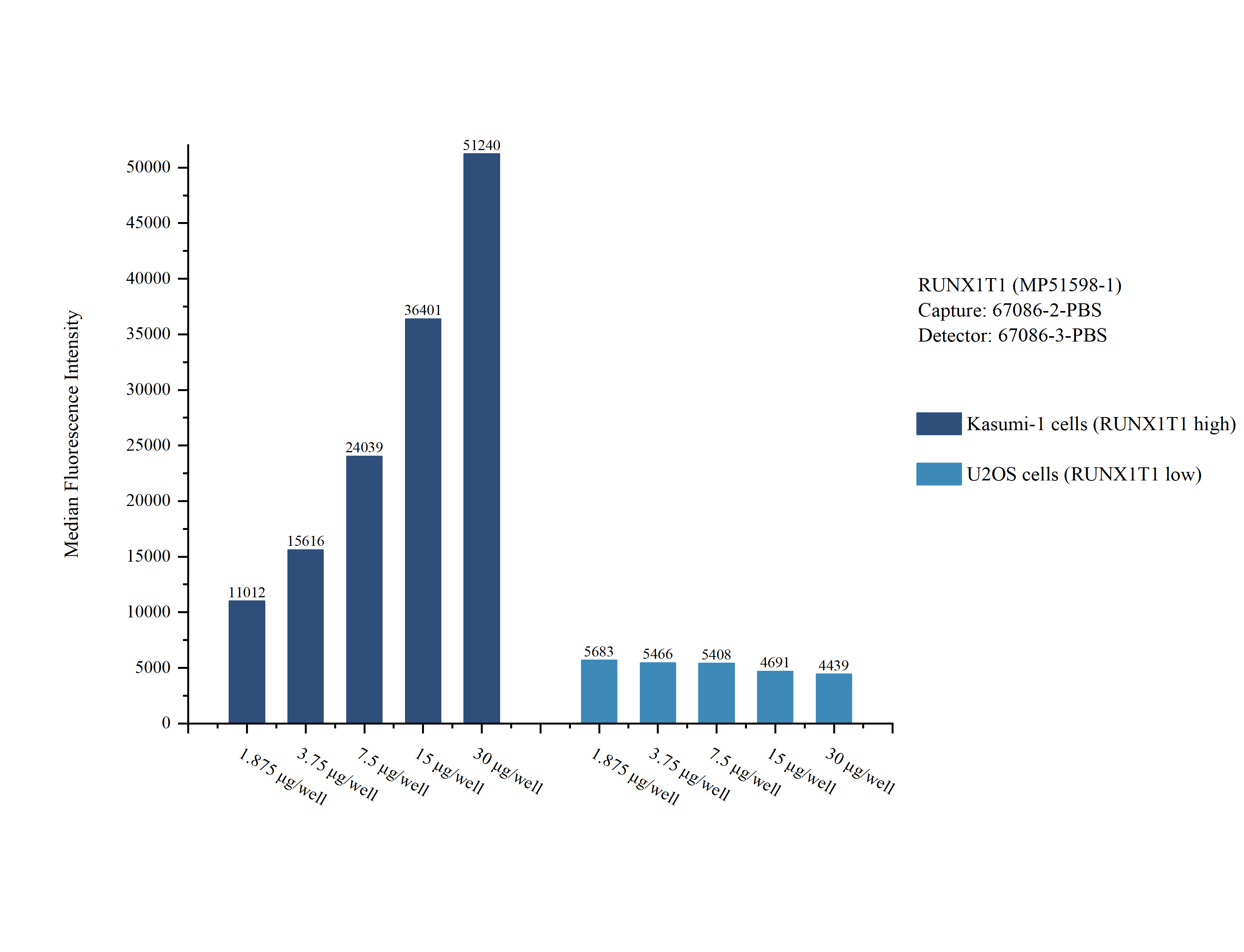 Cytometric bead array sample test of <a class='green' href='/productredirect?CatalogNo=MP51598-1' target='_blank'>MP51598-1</a>, RUNX1T1 Monoclonal Matched Antibody Pair, PBS Only. Capture antibody: 67086-2-PBS. Detection antibody: <a class='green' href='/productredirect?CatalogNo=67086-3-PBS' target='_blank'>67086-3-PBS</a>. Cytometric bead array sample test of MP51598-1