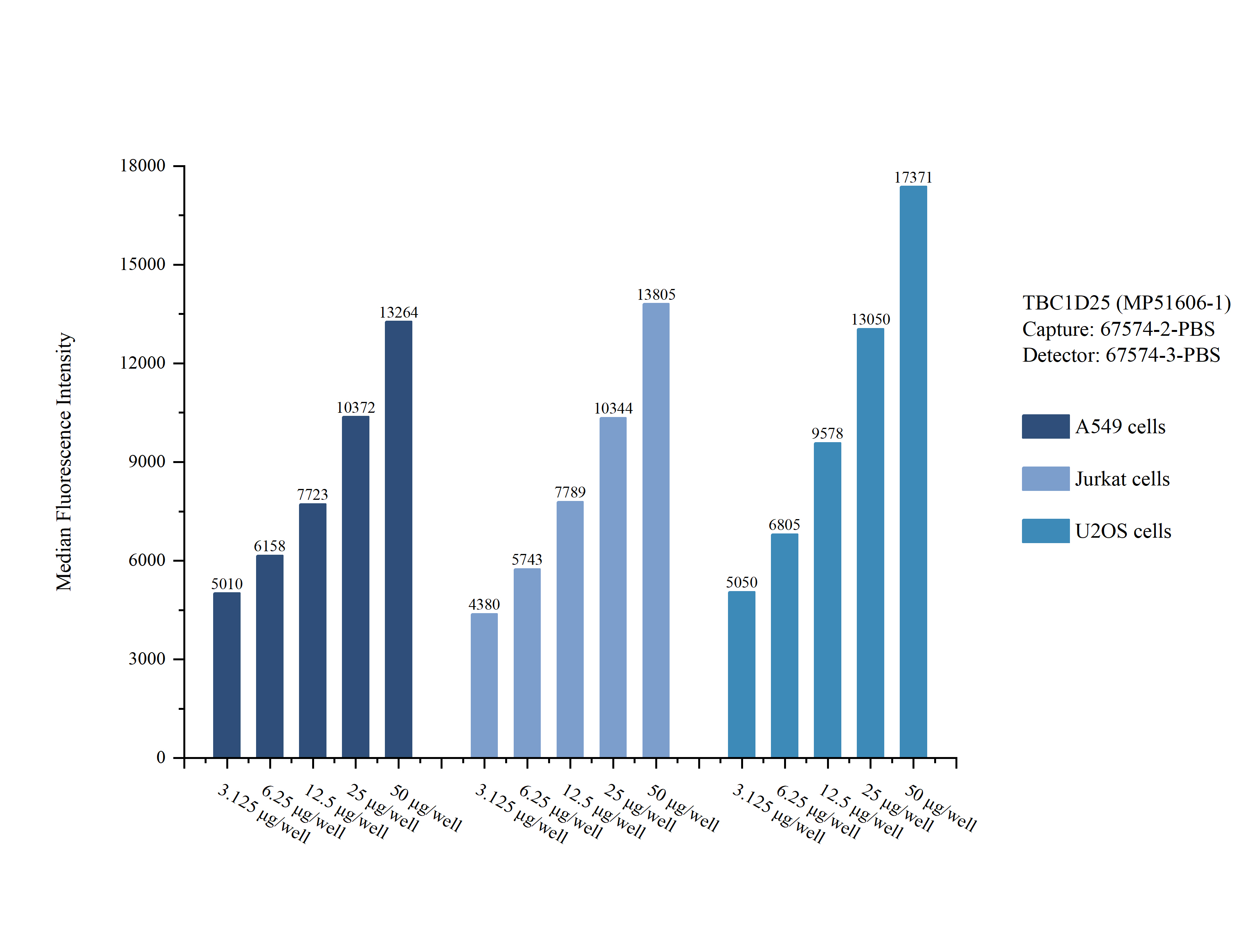 Cytometric bead array sample test of MP51606-1
