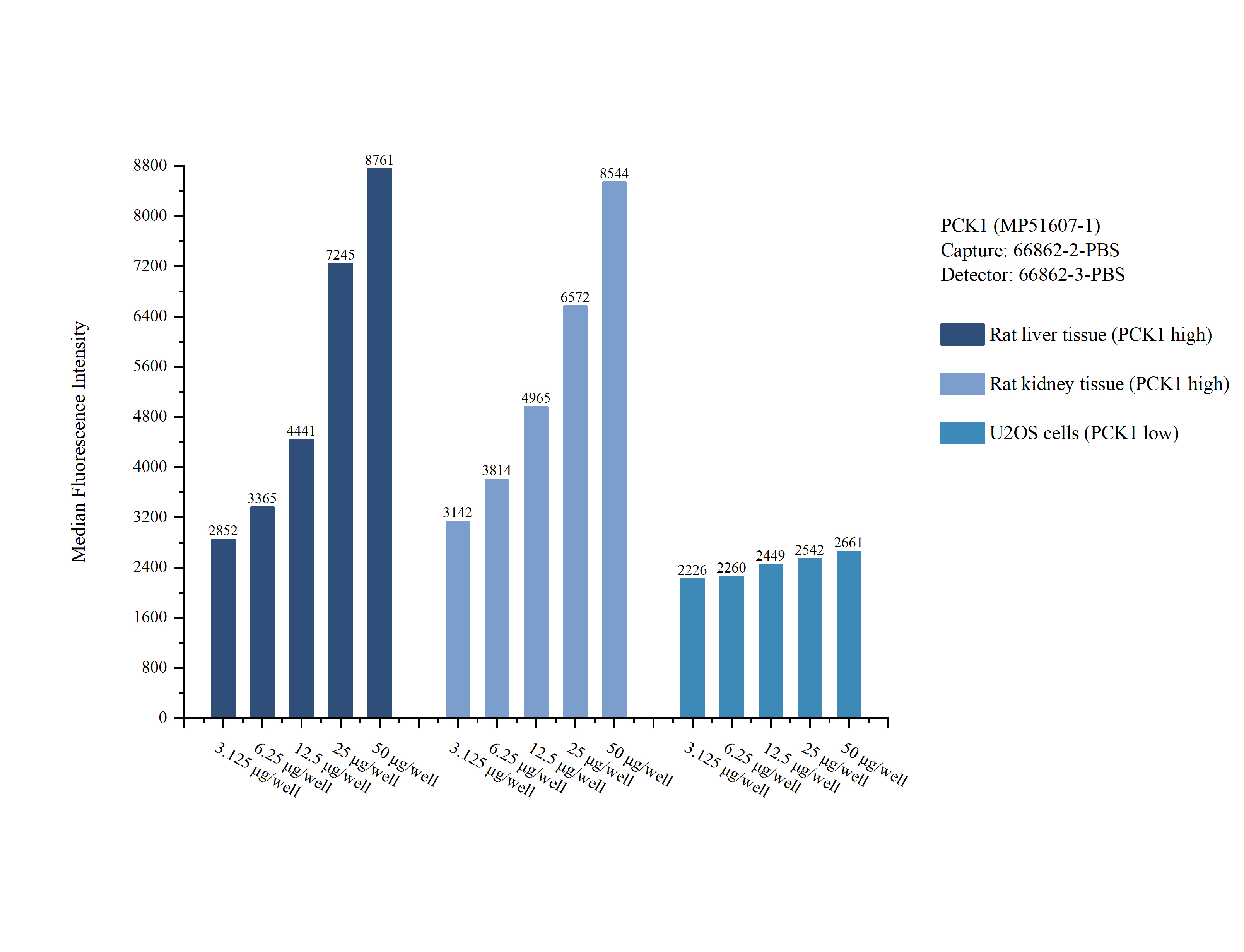 Cytometric bead array sample test of MP51607-1, PCK1 Monoclonal Matched Antibody Pair, PBS Only. Capture antibody: 66862-2-PBS. Detection antibody: 66862-3-PBS. Cytometric bead array sample test of MP51607-1, PCK1 Monoclonal Matched Antibody Pair, PBS Only. Capture antibody: 66862-2-PBS. Detection antibody: 66862-3-PBS.