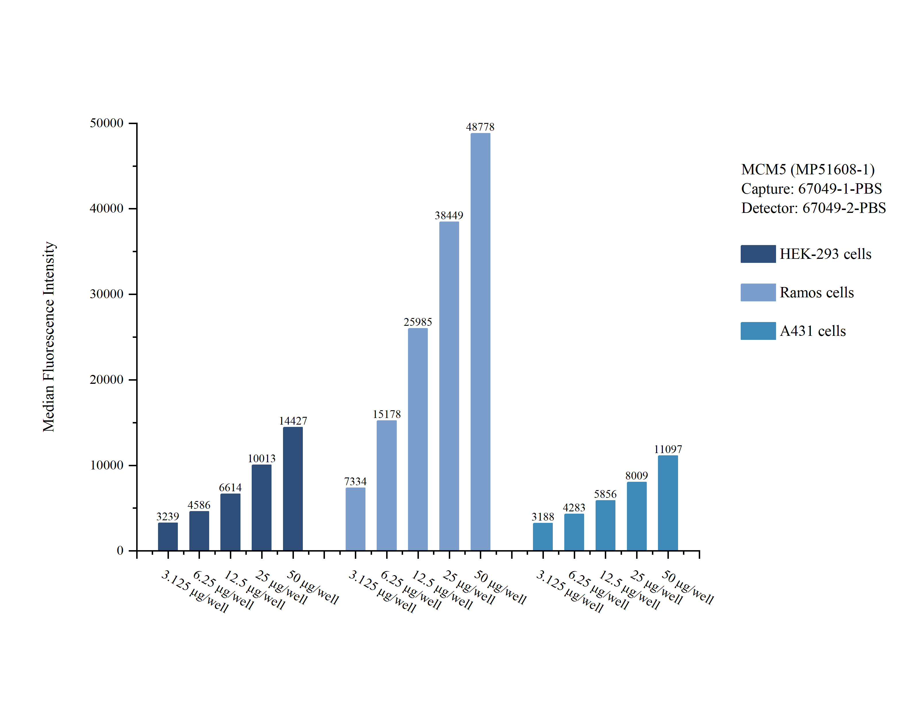 Cytometric bead array sample test of MP51608-1