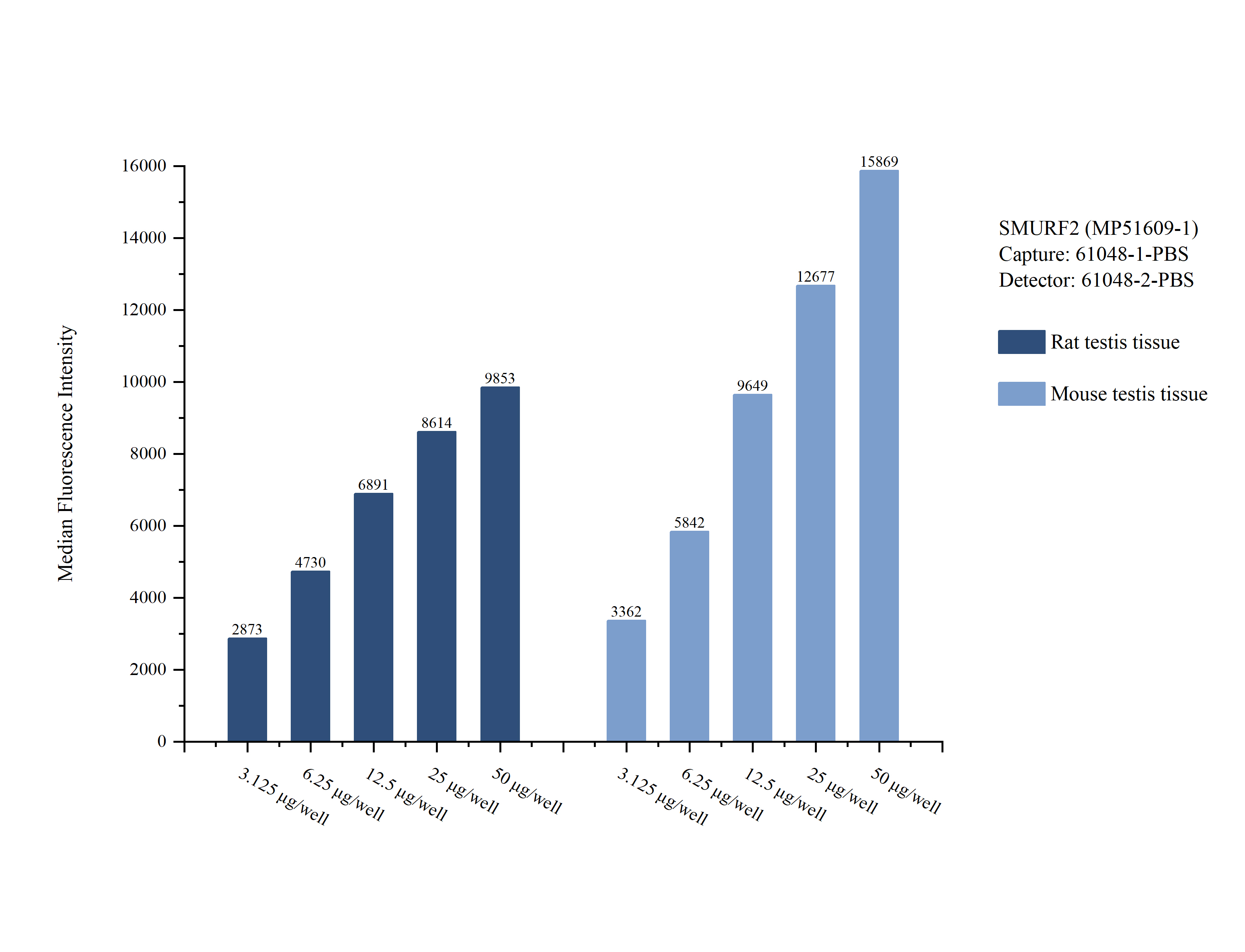 Cytometric bead array sample test of MP51609-1