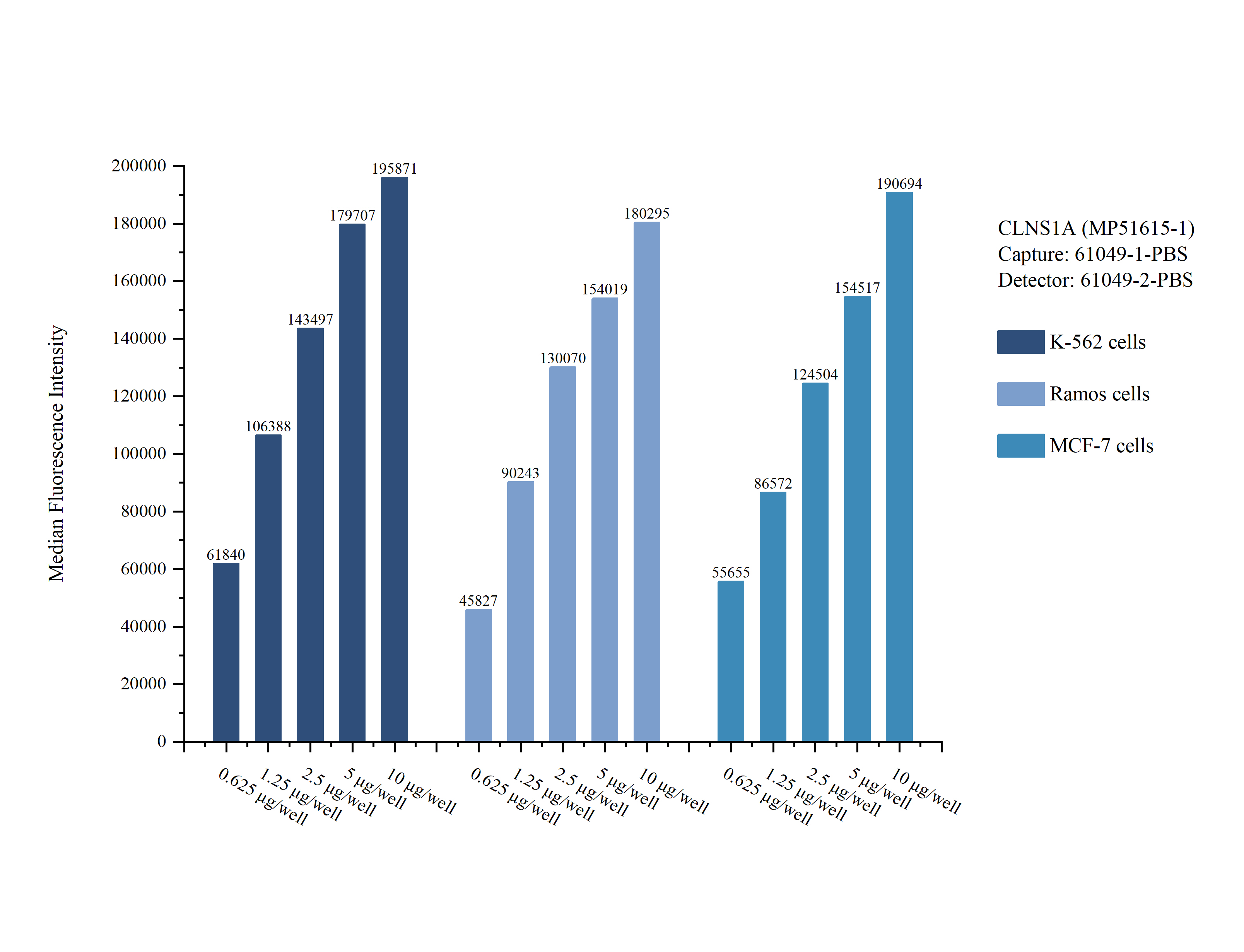 Cytometric bead array sample test of MP51615-1