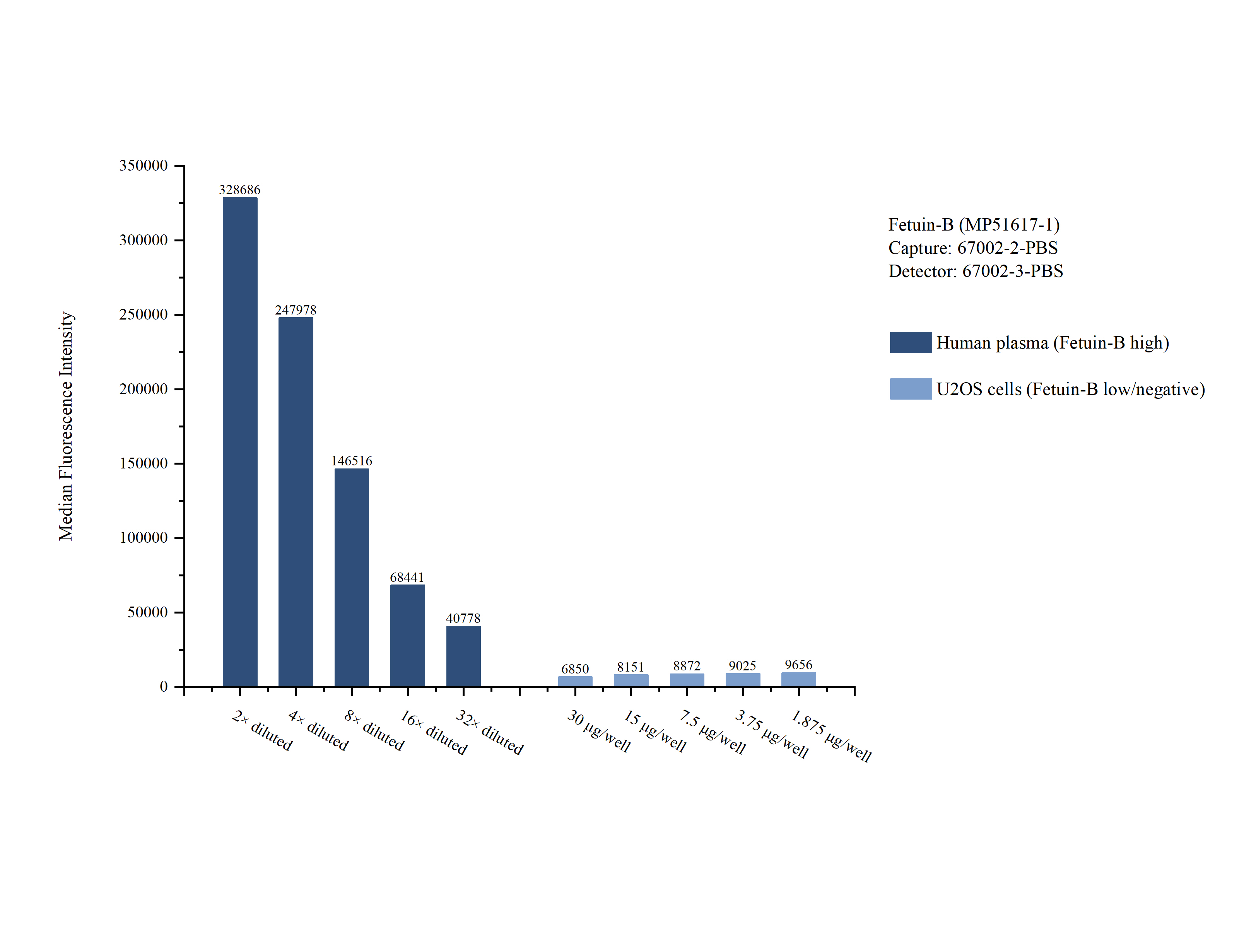 Cytometric bead array sample test of <a class='green' href='/productredirect?CatalogNo=MP51617-1' target='_blank'>MP51617-1</a>, Fetuin-B Monoclonal Matched Antibody Pair, PBS Only. Capture antibody: 67002-2-PBS. Detection antibody: <a class='green' href='/productredirect?CatalogNo=67002-3-PBS' target='_blank'>67002-3-PBS</a>. Cytometric bead array sample test of MP51617-1