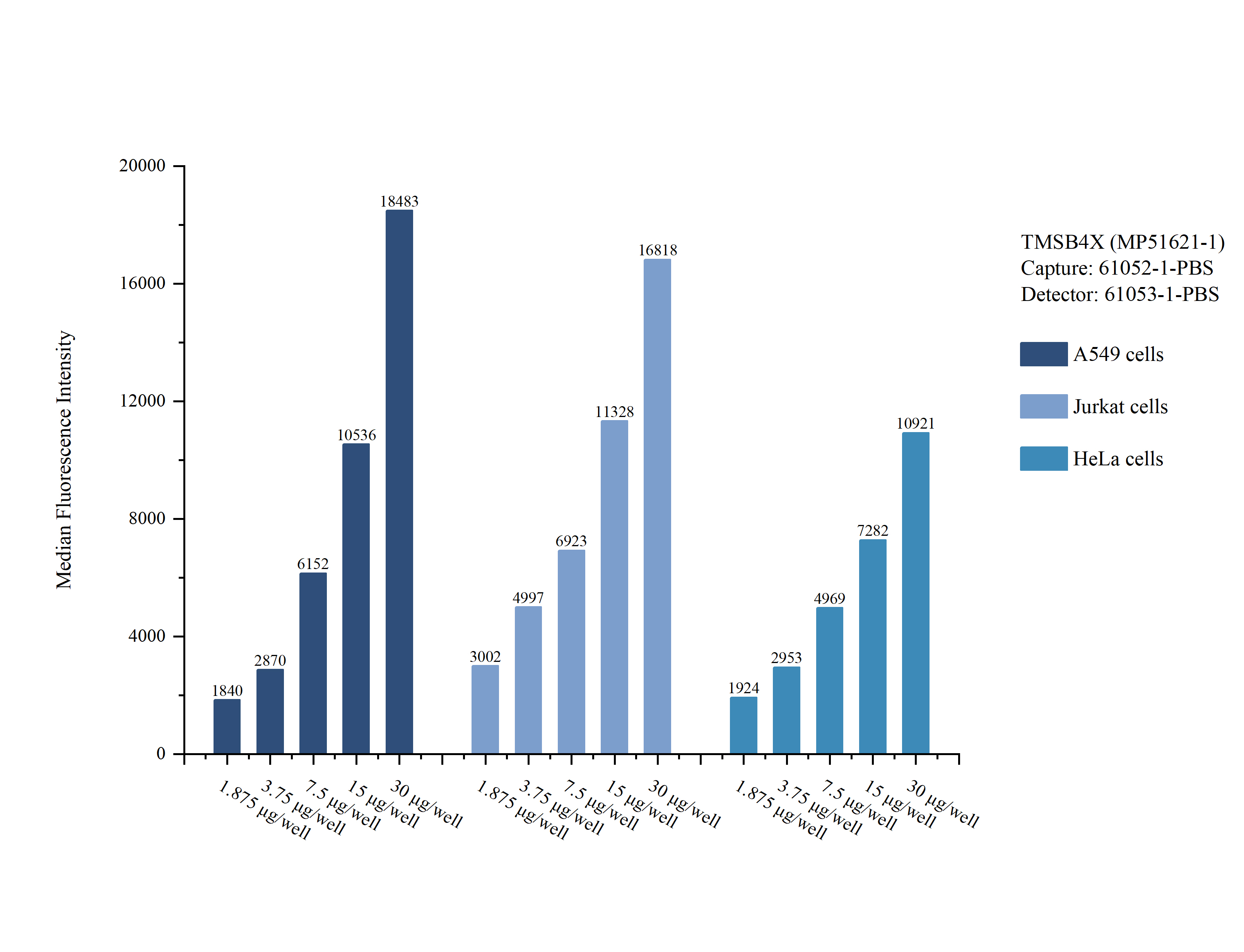 Cytometric bead array sample test of <a class='green' href='/productredirect?CatalogNo=MP51621-1' target='_blank'>MP51621-1</a>, TMSB4X Monoclonal Matched Antibody Pair, PBS Only. Capture antibody: 61052-1-PBS. Detection antibody: <a class='green' href='/productredirect?CatalogNo=61053-1-PBS' target='_blank'>61053-1-PBS</a>. Cytometric bead array sample test of MP51621-1