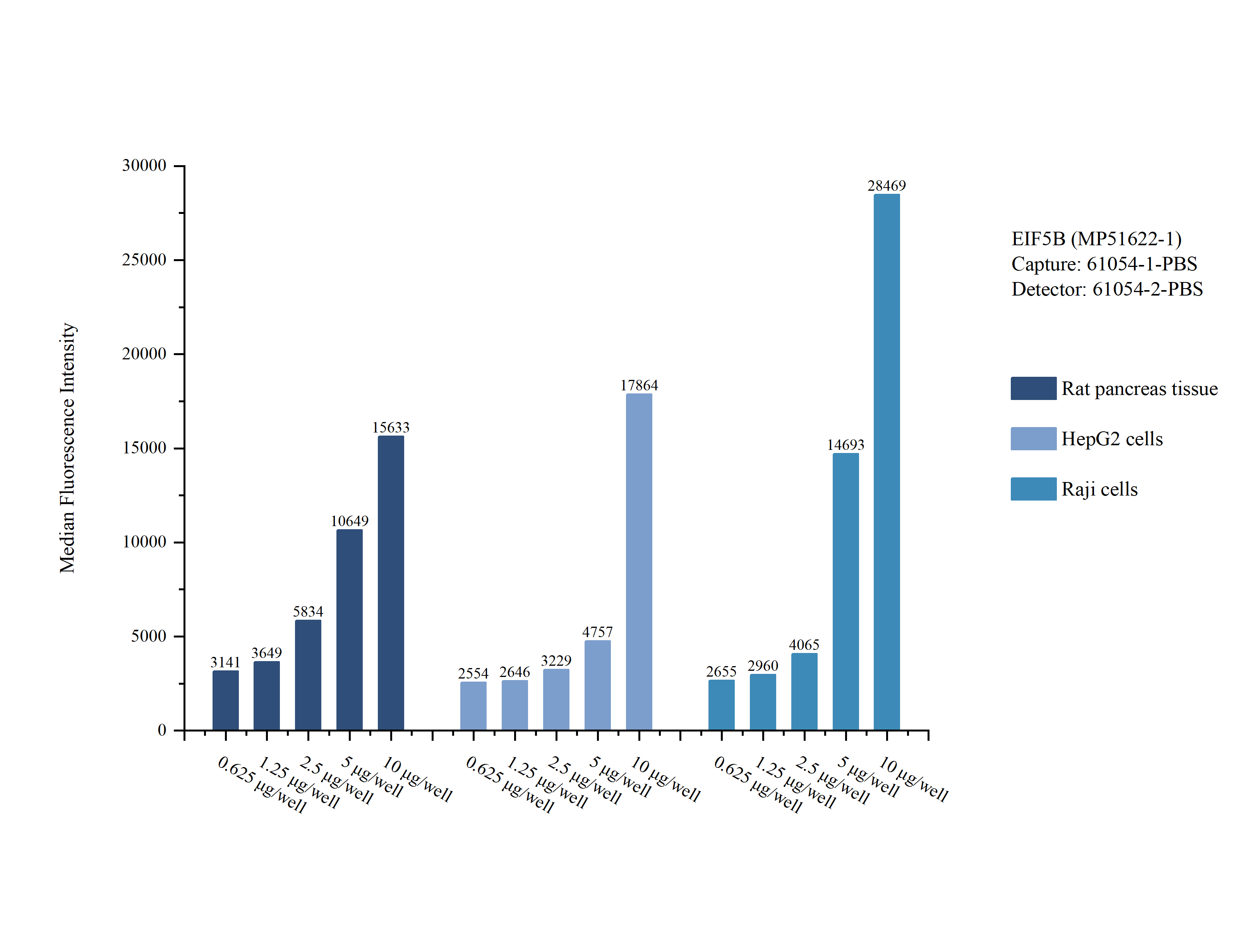 Cytometric bead array sample test of MP51622-1, EIF5B Monoclonal Matched Antibody Pair, PBS Only. Capture antibody: 61054-1-PBS. Detection antibody: 61054-2-PBS. 