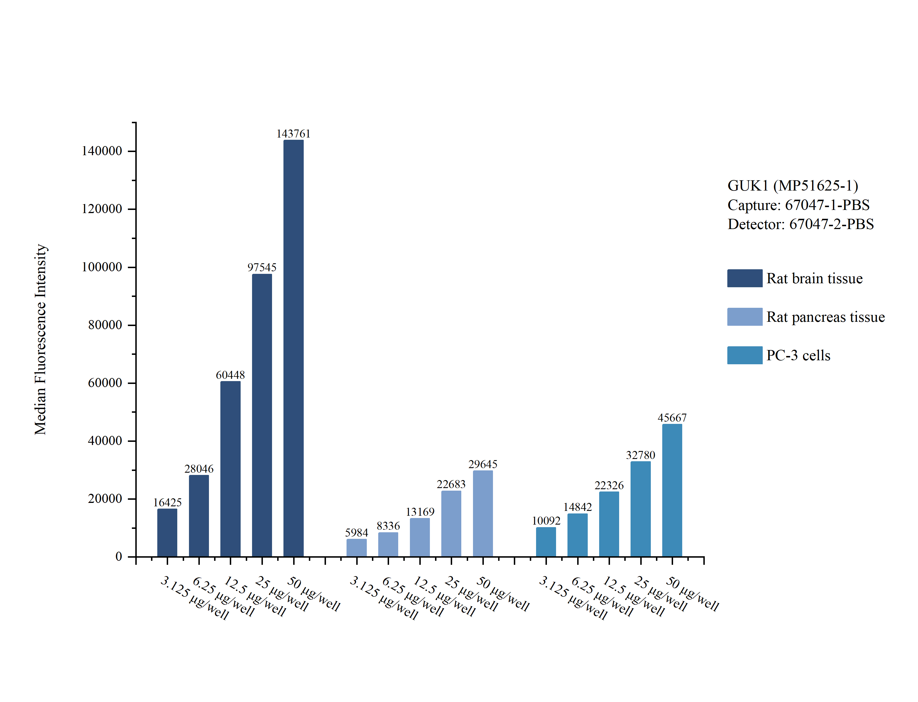 Cytometric bead array sample test of <a class='green' href='/productredirect?CatalogNo=MP51625-1' target='_blank'>MP51625-1</a>, GUK1 Monoclonal Matched Antibody Pair, PBS Only. Capture antibody: 67047-1-PBS. Detection antibody: <a class='green' href='/productredirect?CatalogNo=67047-2-PBS' target='_blank'>67047-2-PBS</a>. Cytometric bead array sample test of MP51625-1