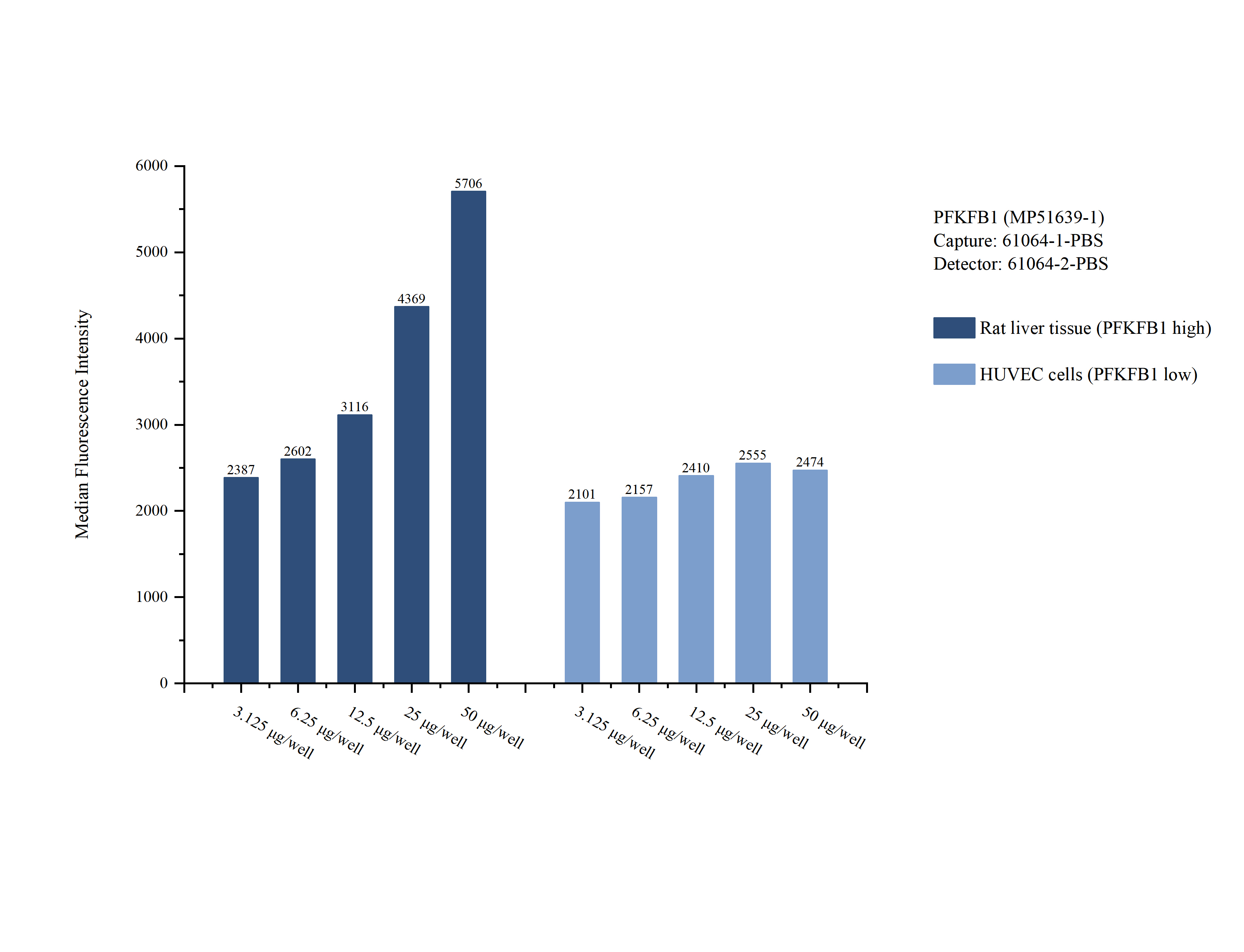Cytometric bead array sample test of MP51639-1