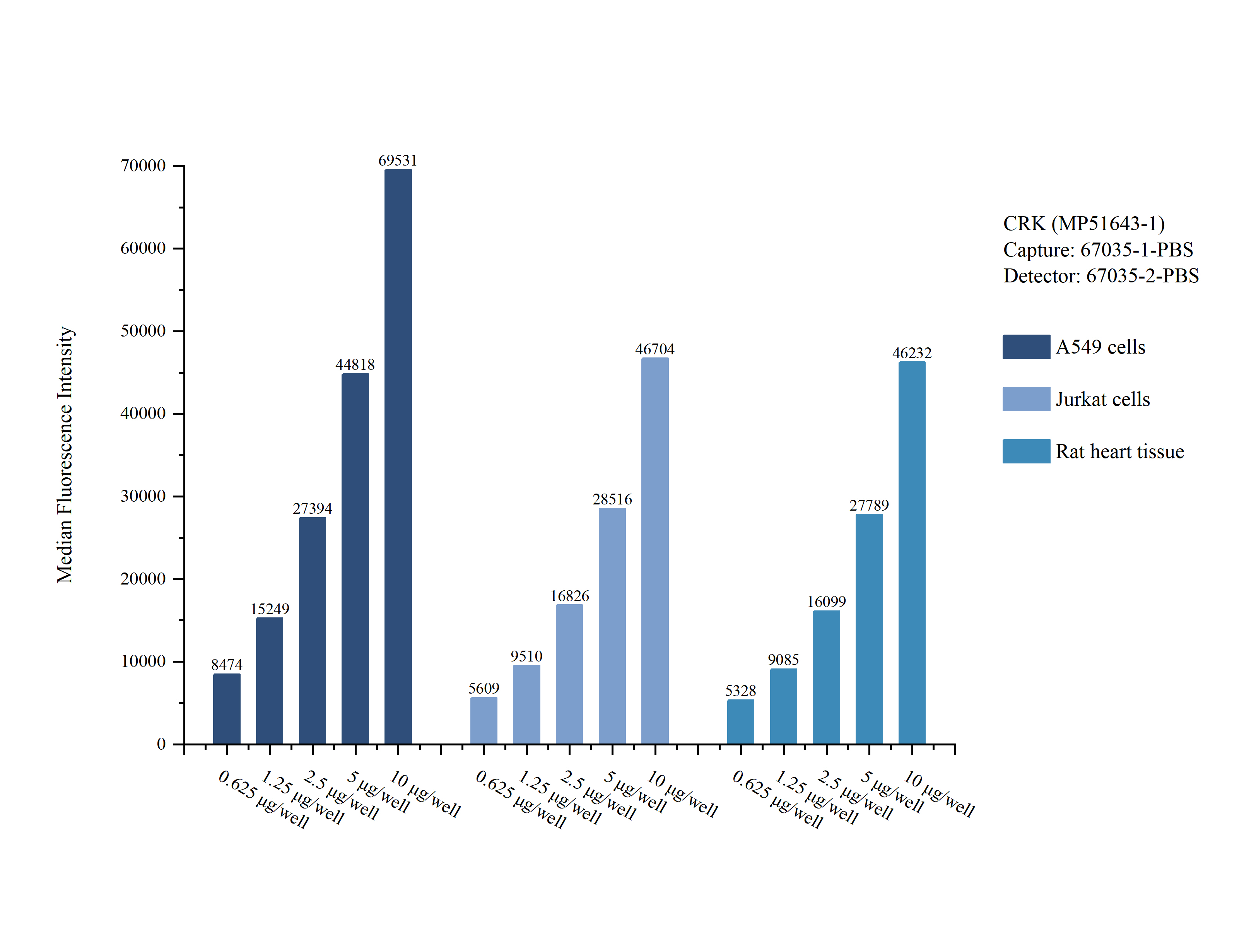 Cytometric bead array sample test of MP51643-1