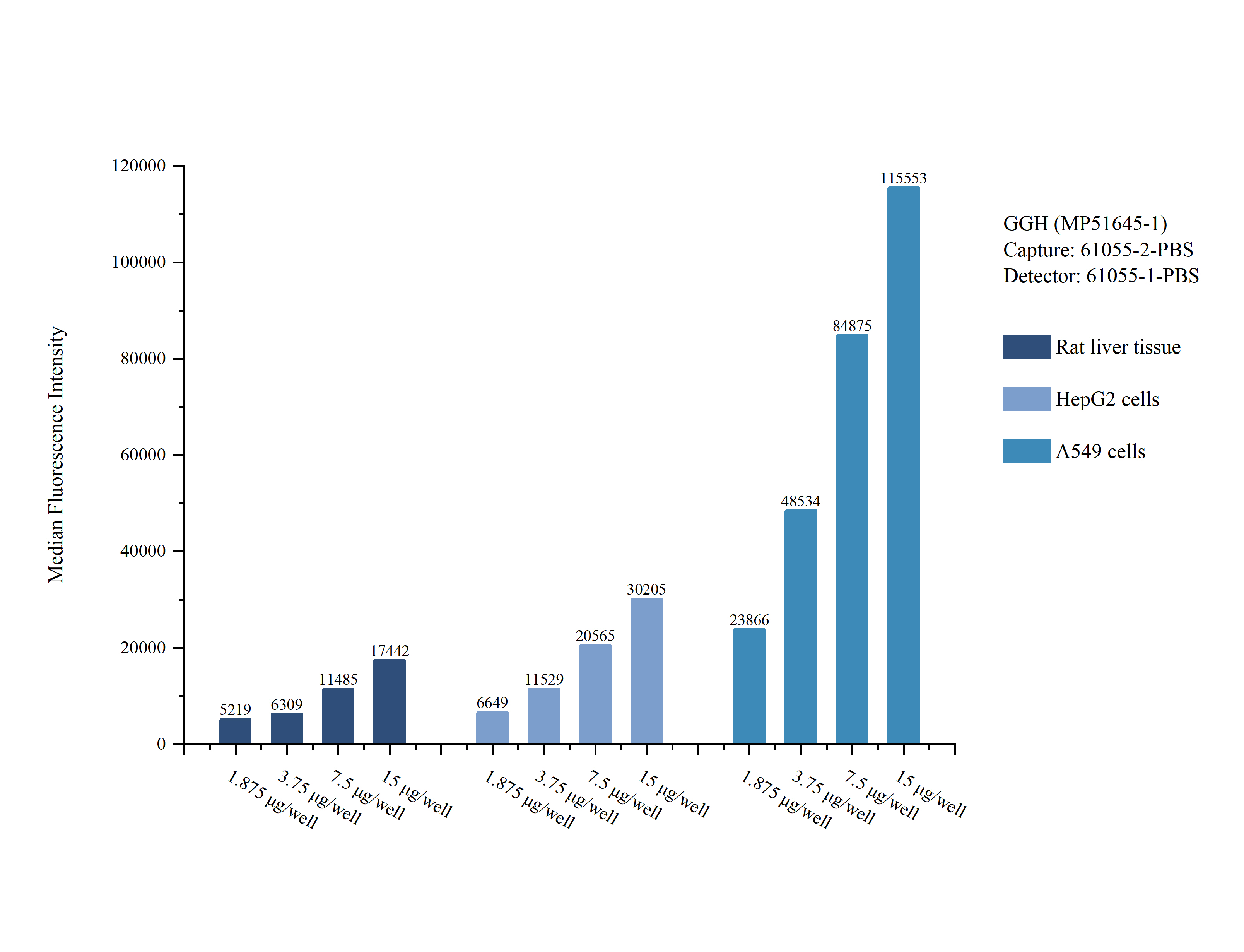 Cytometric bead array sample test of MP51645-1, GGH Monoclonal Matched Antibody Pair, PBS Only. Capture antibody: 61055-2-PBS. Detection antibody: 61055-1-PBS. Cytometric bead array sample test of MP51645-1, GGH Monoclonal Matched Antibody Pair, PBS Only. Capture antibody: 61055-2-PBS. Detection antibody: 61055-1-PBS.
