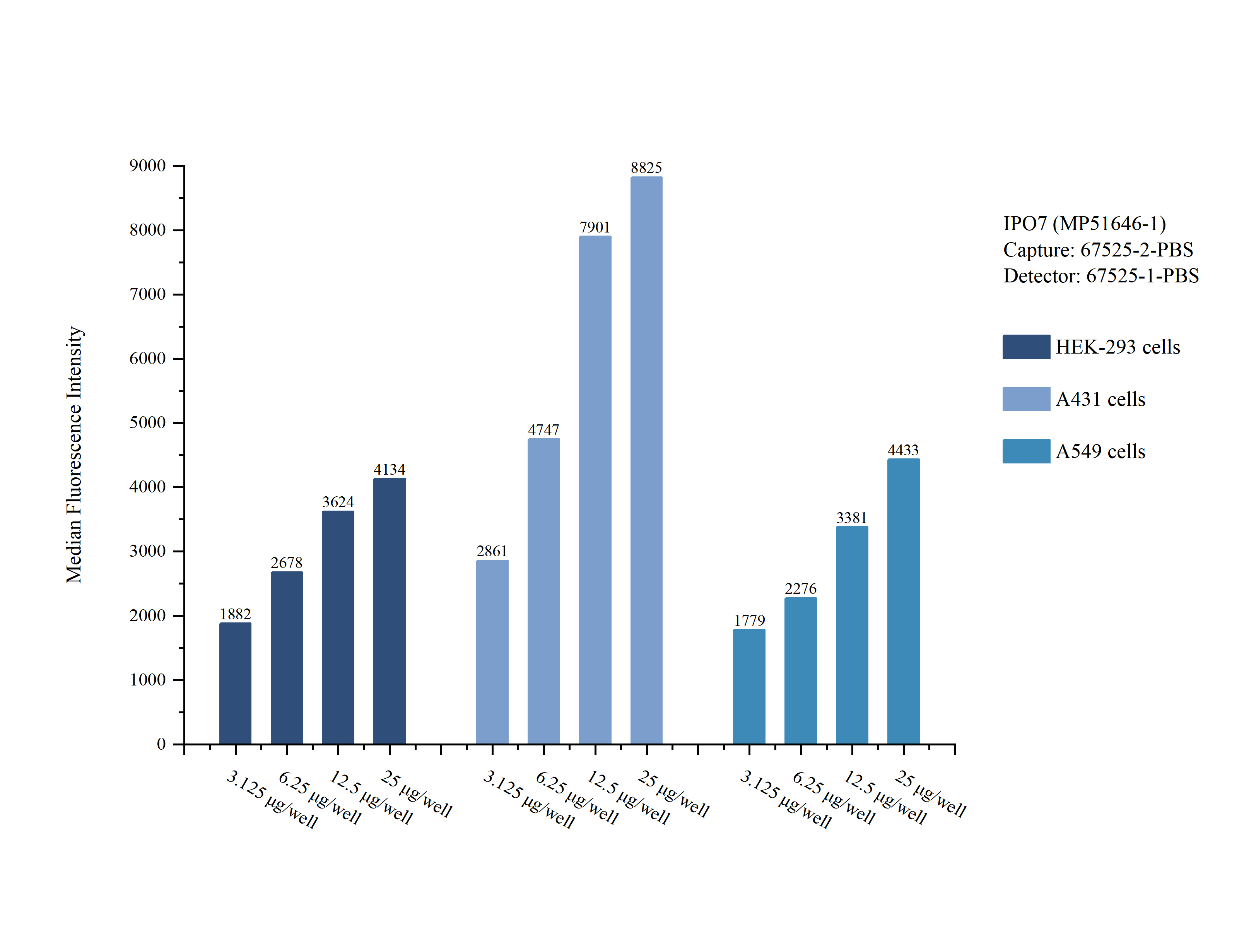Cytometric bead array sample test of MP51646-1
