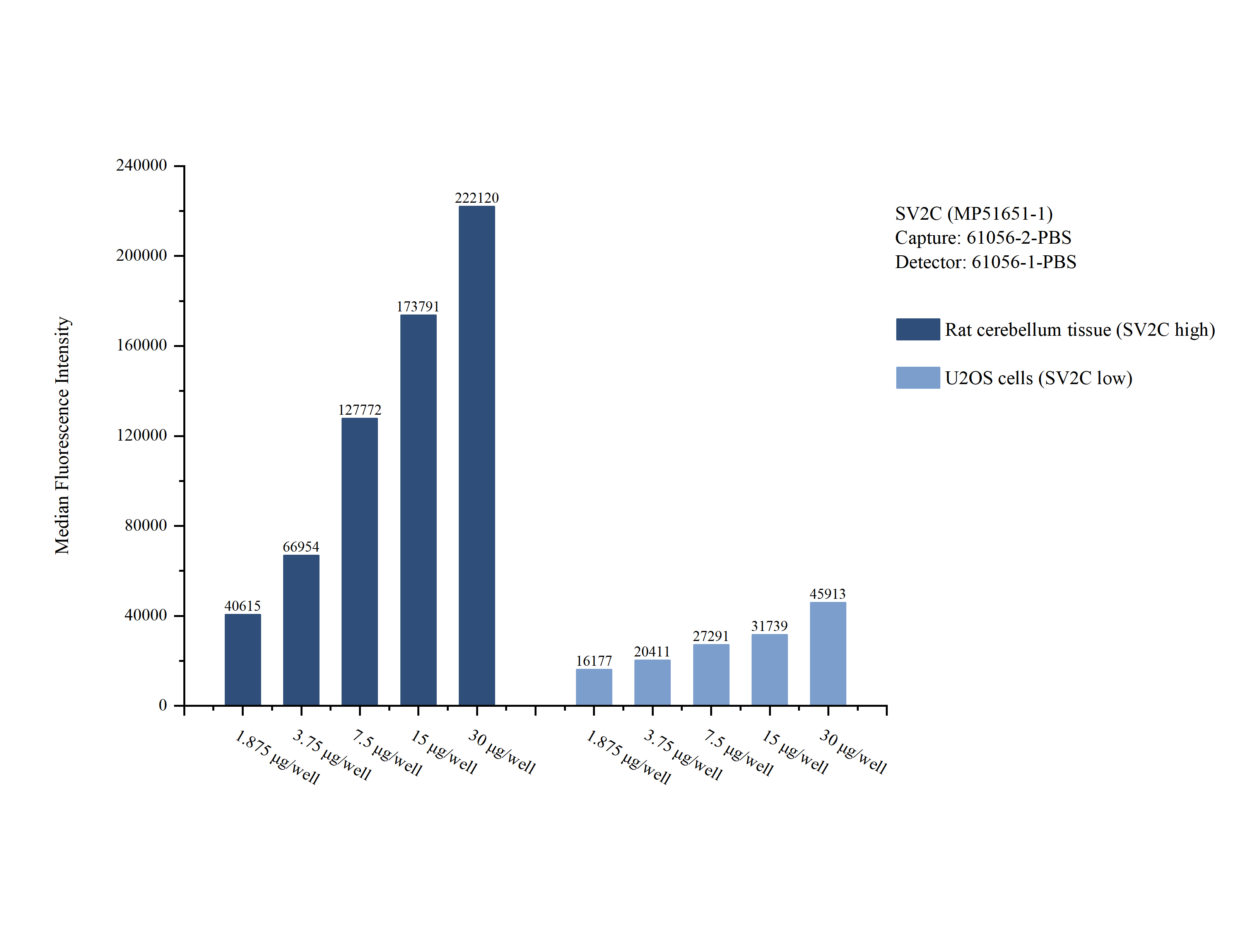 Cytometric bead array sample test of MP51651-1