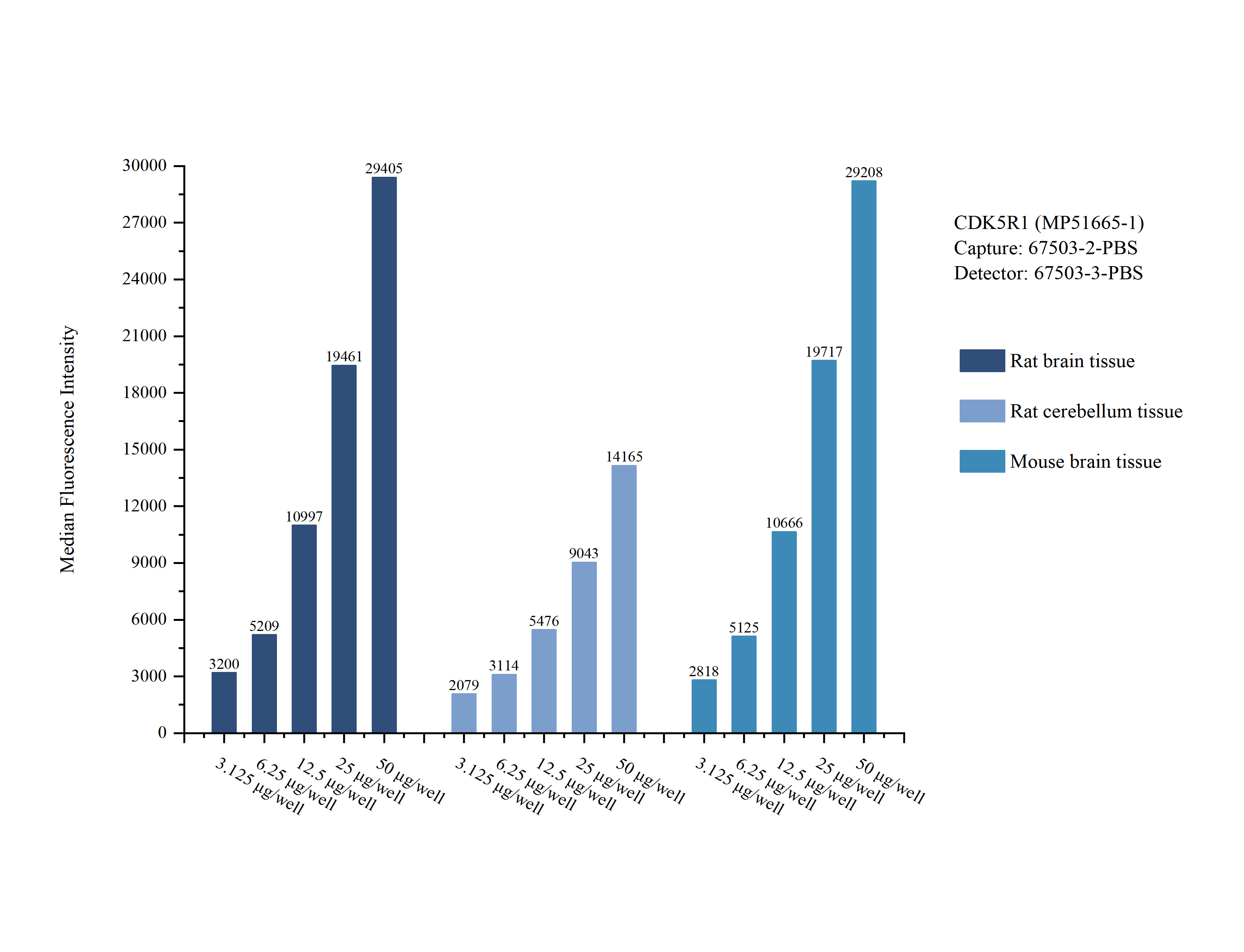 Cytometric bead array sample test of MP51665-1