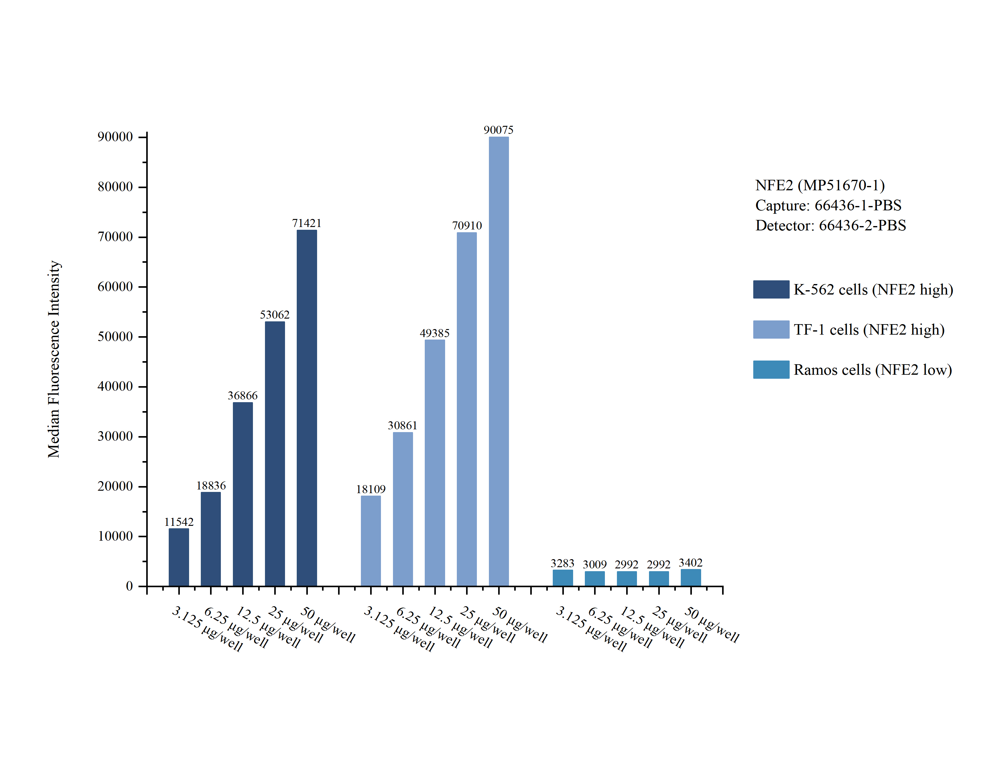 Cytometric bead array sample test of MP51670-1