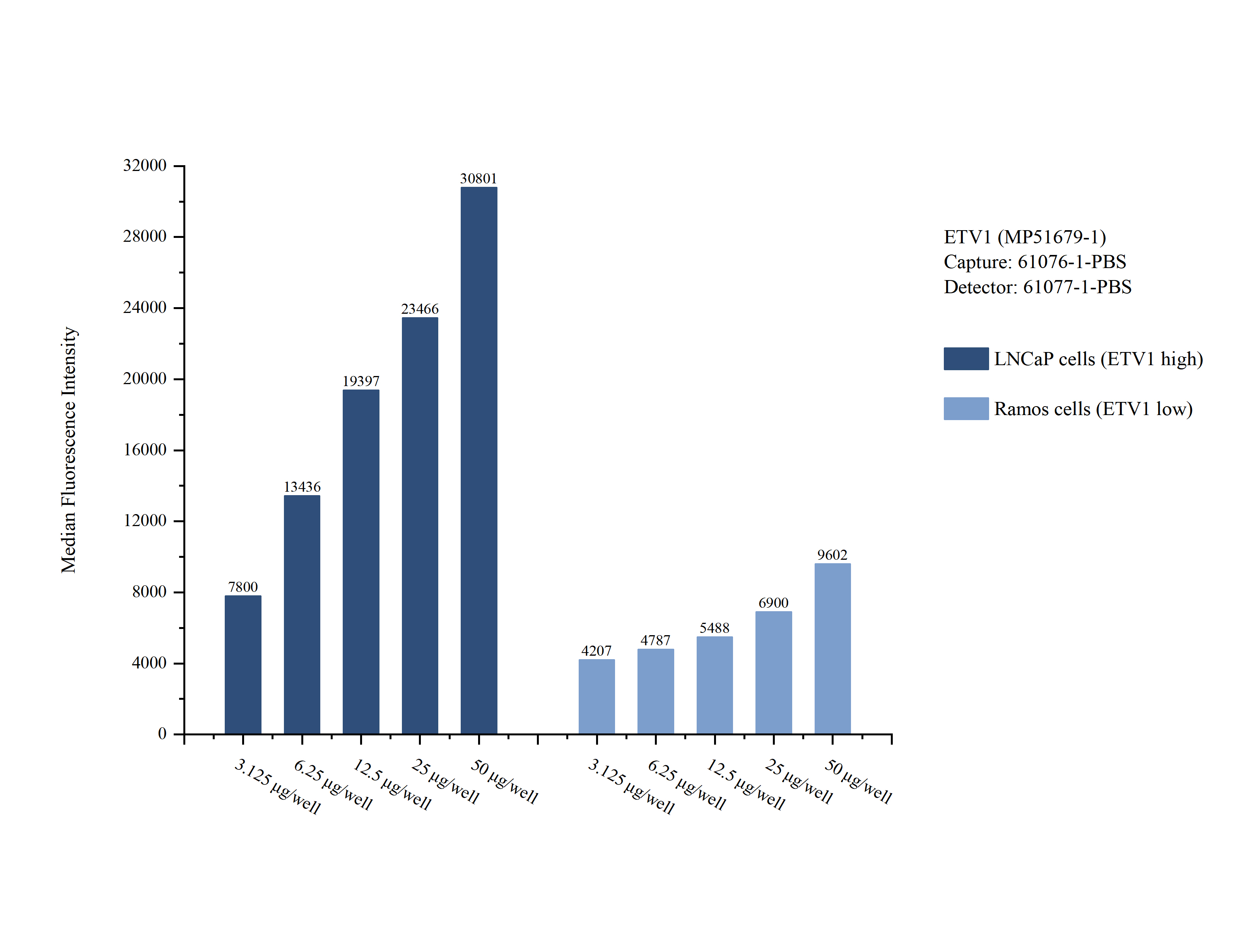 Cytometric bead array sample test of MP51679-1 Cytometric bead array sample test of MP51679-1