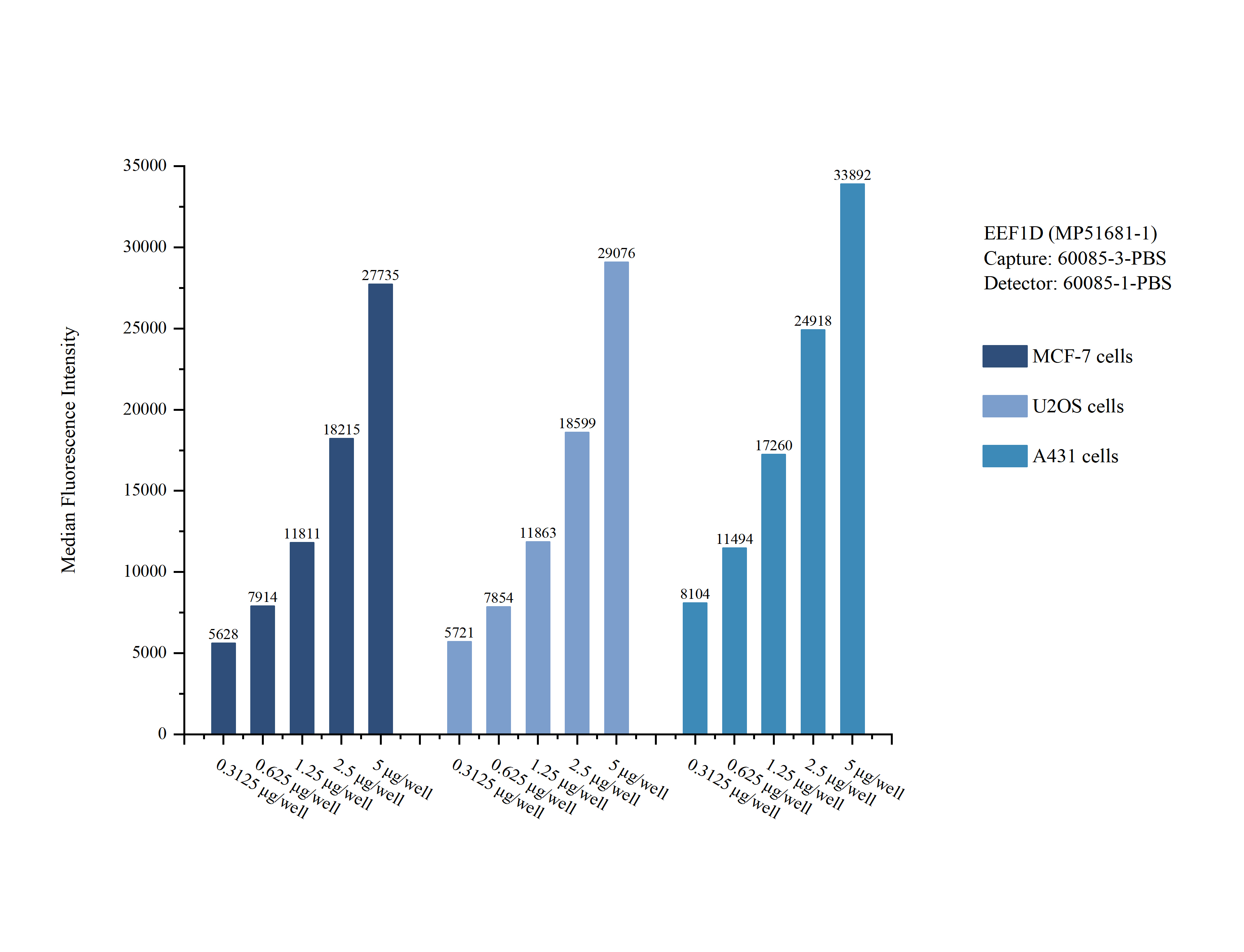Cytometric bead array sample test of <a class='green' href='/productredirect?CatalogNo=MP51681-1' target='_blank'>MP51681-1</a>, EEF1D Monoclonal Matched Antibody Pair, PBS Only. Capture antibody: <a class='green' href='/productredirect?CatalogNo=60085-3-PBS' target='_blank'>60085-3-PBS</a>. Detection antibody: 60085-1-PBS. Cytometric bead array sample test of MP51681-1