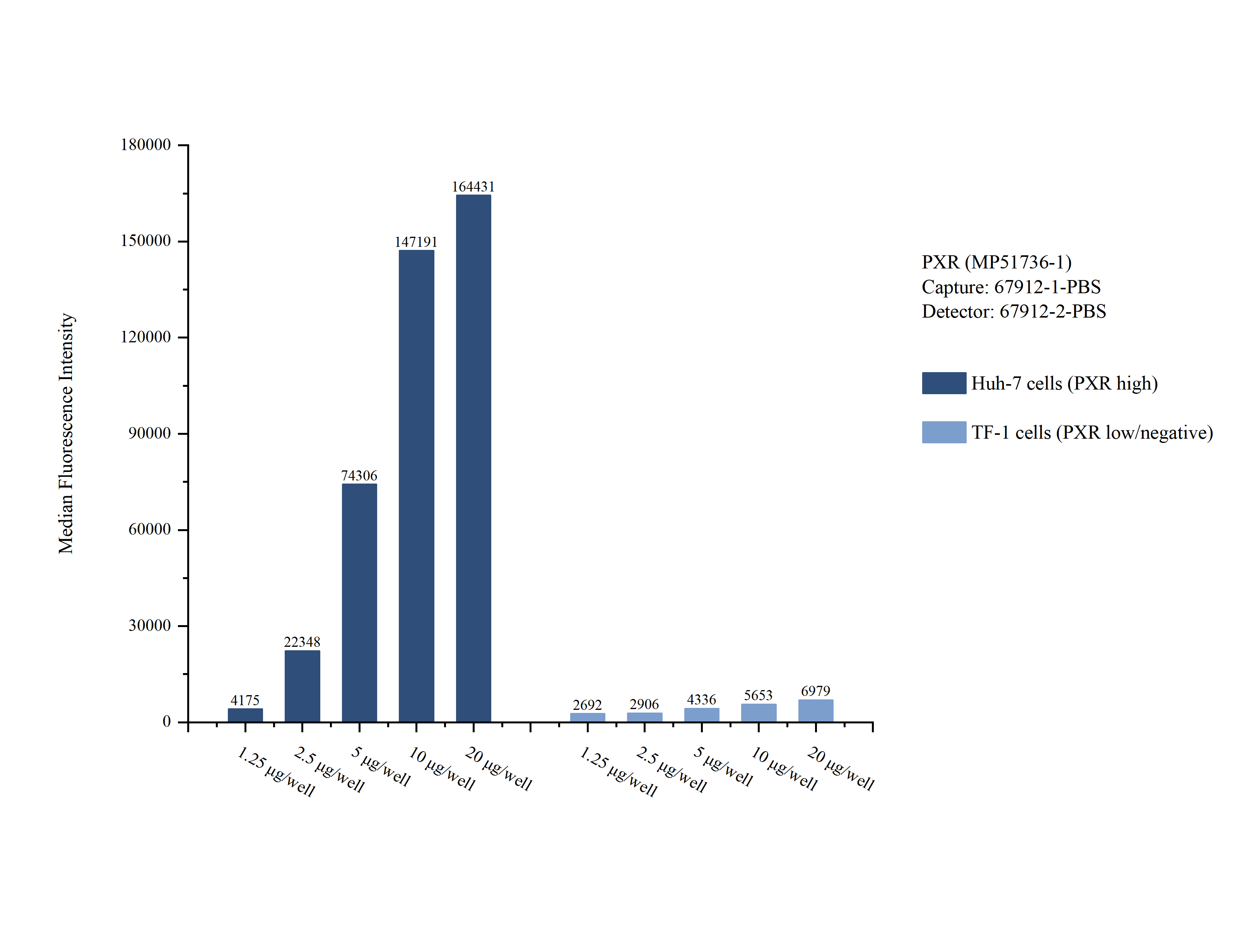 Cytometric bead array sample test of MP51736-1, PXR Monoclonal Matched Antibody Pair, PBS Only. Capture antibody: 67912-1-PBS. Detection antibody: 67912-2-PBS.