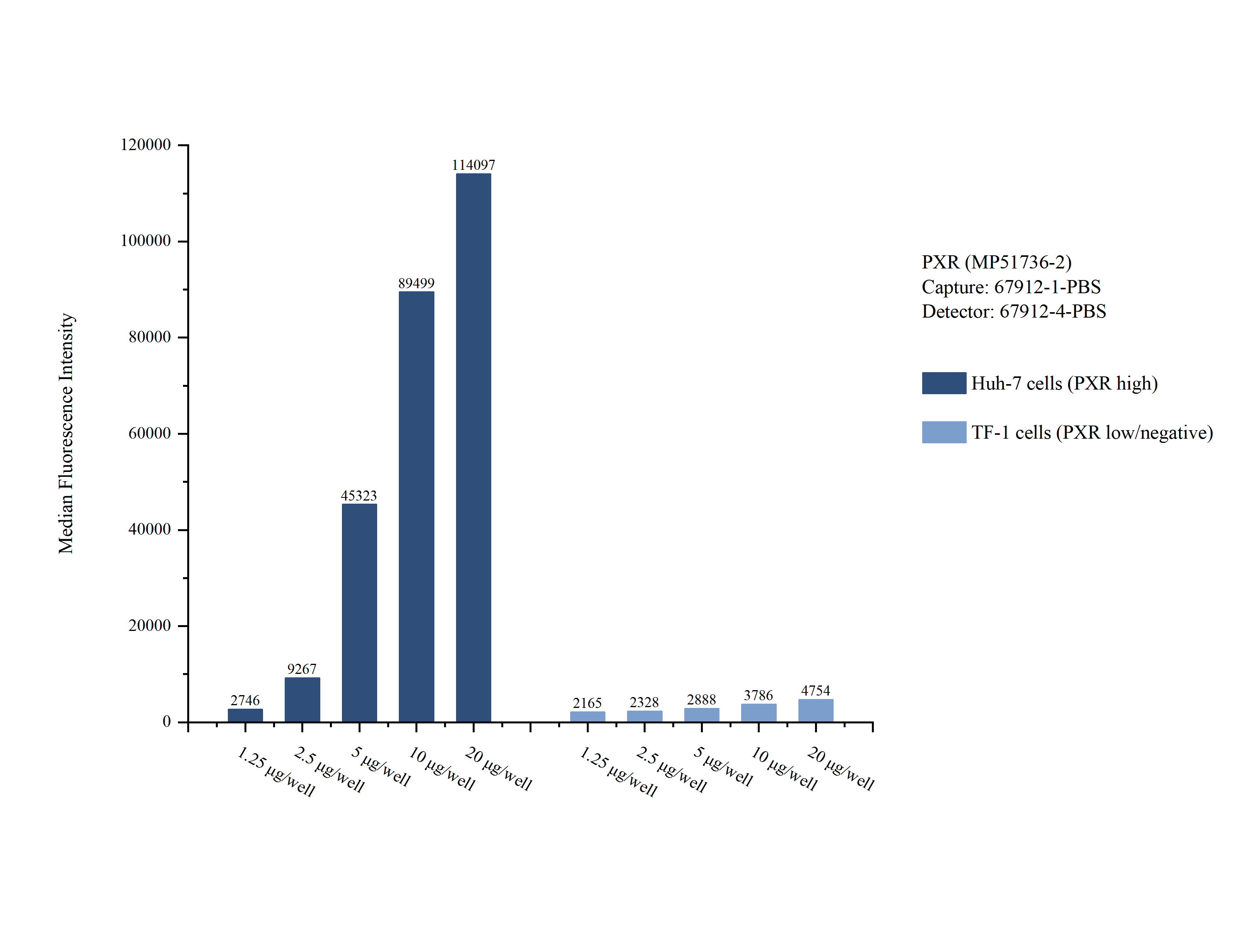 Cytometric bead array sample test of MP51736-2, PXR Monoclonal Matched Antibody Pair, PBS Only. Capture antibody: 67912-1-PBS. Detection antibody: 67912-4-PBS. 