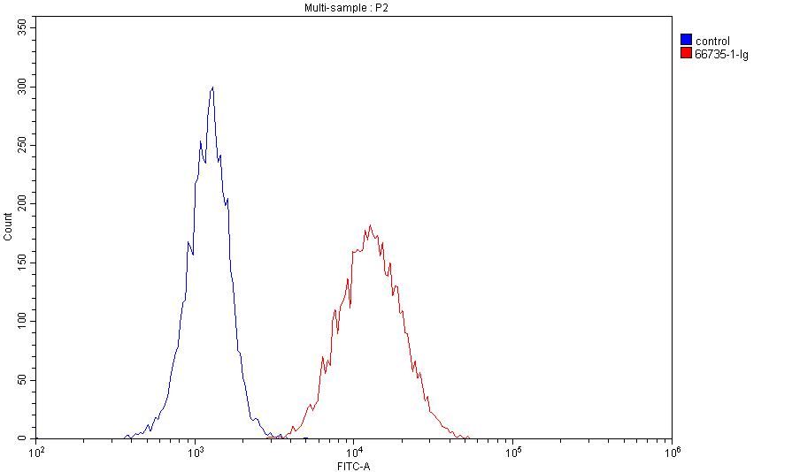 FC experiment of HeLa using 66735-1-Ig