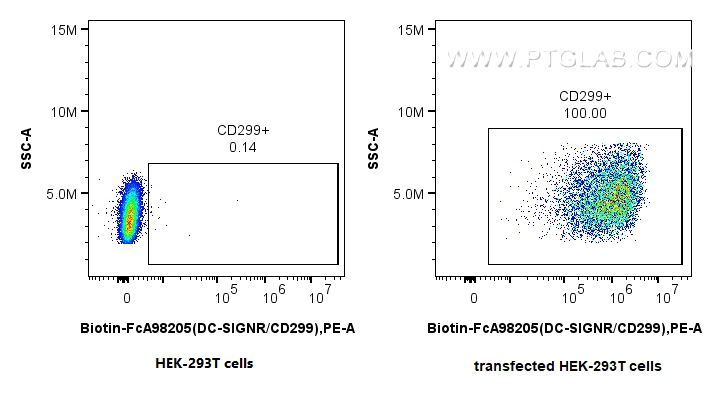 FC experiment of Transfected HEK-293T using Biotin-FcA98205 FC experiment of Transfected HEK-293T using Biotin-FcA98205