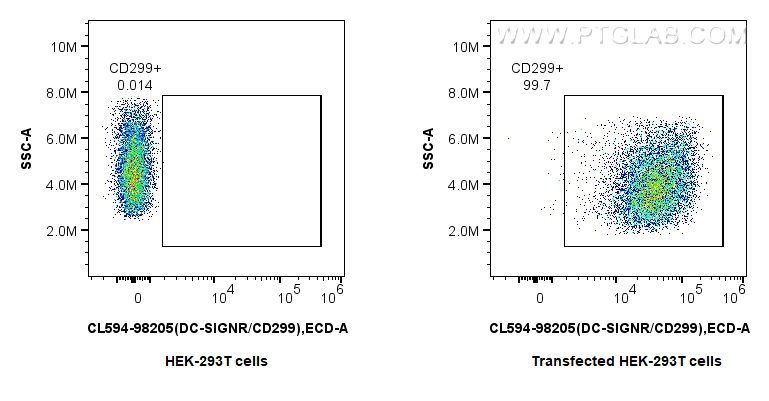 FC experiment of Transfected HEK-293T using CL594-98205 FC experiment of Transfected HEK-293T using CL594-98205