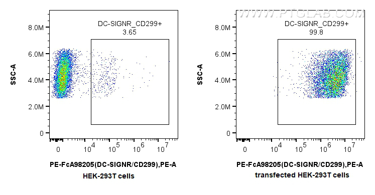 FC experiment of Transfected HEK-293T using PE-FcA98205 FC experiment of Transfected HEK-293T using PE-FcA98205