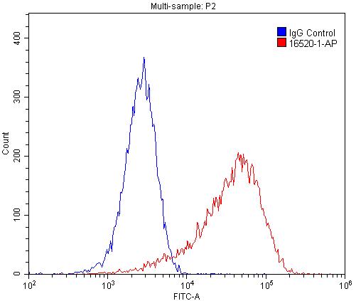 FC experiment of C2C12 using 16520-1-AP