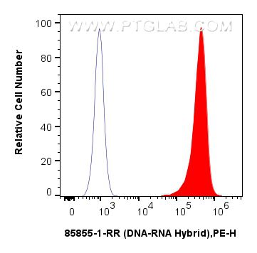 FC experiment of HEK-293T using 85855-1-RR