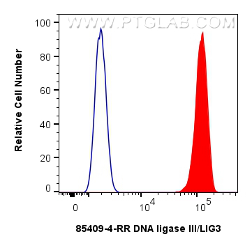 FC experiment of Jurkat using 85409-4-RR (same clone as 85409-4-PBS) FC experiment of Jurkat using 85409-4-RR (same clone as 85409-4-PBS)