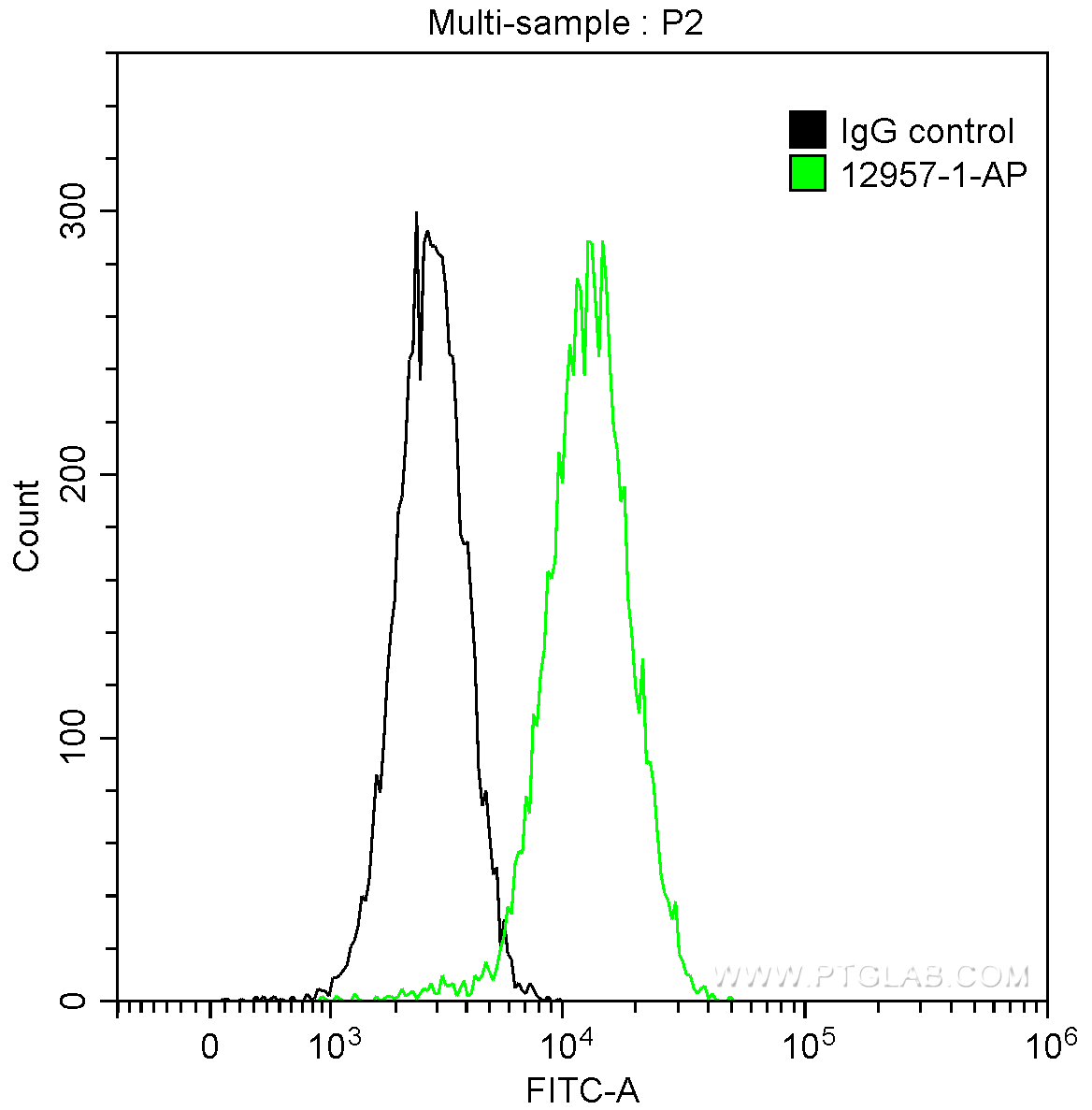 DRP1 (C-terminal)