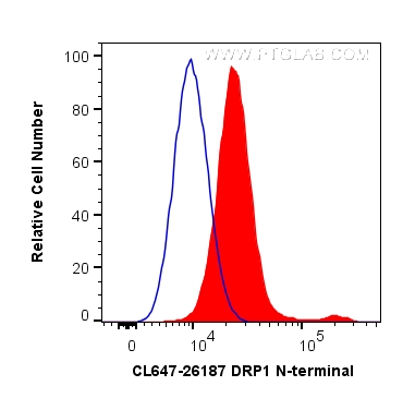 DRP1 (N-terminal)