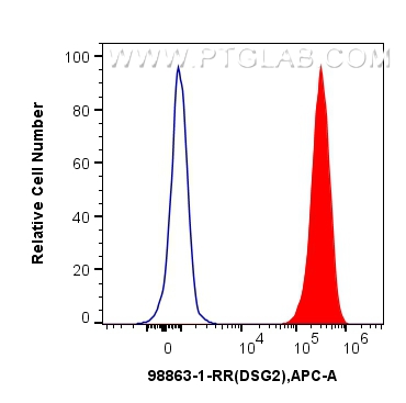 FC experiment of HeLa using 98863-1-RR (same clone as 98863-1-PBS) FC experiment of HeLa using 98863-1-RR (same clone as 98863-1-PBS)