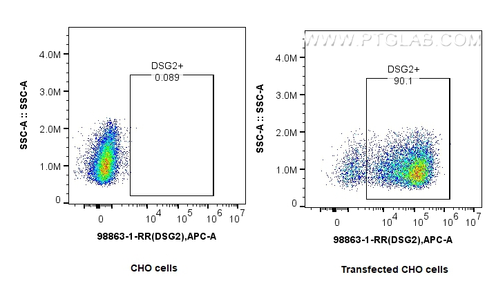 FC experiment of CHO using 98863-1-RR (same clone as 98863-1-PBS) FC experiment of CHO using 98863-1-RR (same clone as 98863-1-PBS)