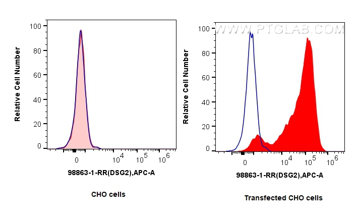FC experiment of CHO using 98863-1-RR (same clone as 98863-1-PBS) FC experiment of CHO using 98863-1-RR (same clone as 98863-1-PBS)