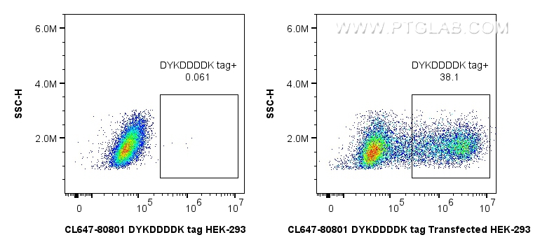 FC experiment of HEK-293T transfected with TDP-43-flag using CL647-80801-2