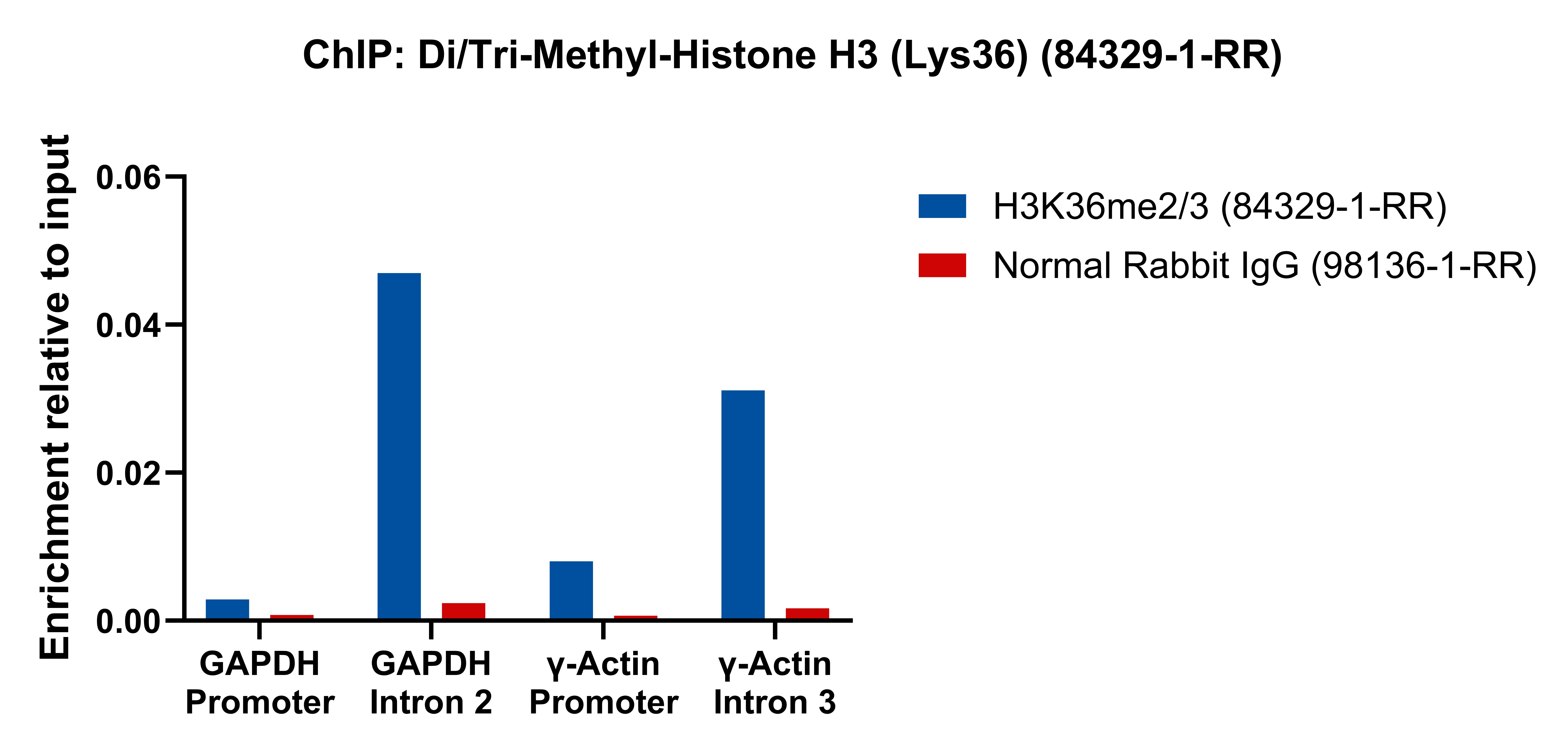 ChIP experiment of HeLa using 84329-1-RR (same clone as 84329-1-PBS)
