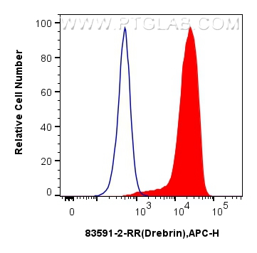 FC experiment of SH-SY5Y using 83591-2-RR