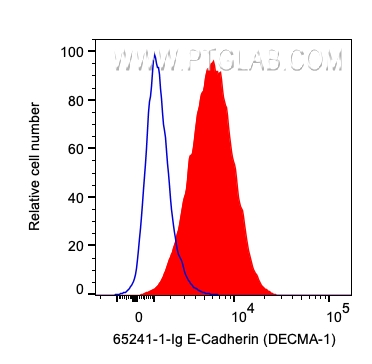 FC experiment of MDCK using 65241-1-Ig