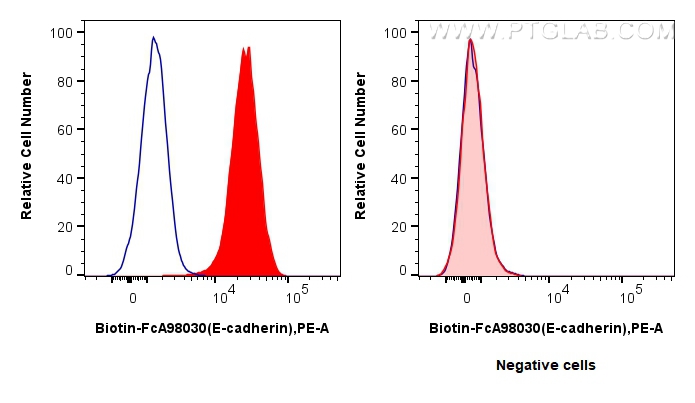 FC experiment of HT-29 using Biotin-FcA98030