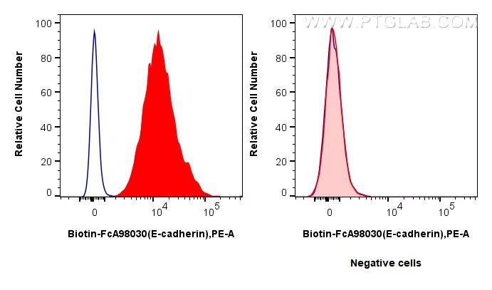 FC experiment of MCF-7 using Biotin-FcA98030