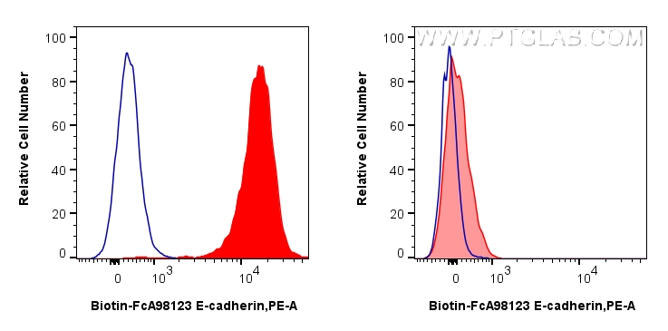 FC experiment of HT-29 using Biotin-FcA98123