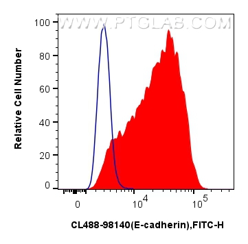FC experiment of MDCK using CL488-98140 FC experiment of MDCK using CL488-98140