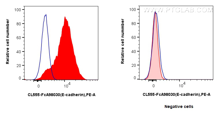 FC experiment of HT-29 using CL555-FcA98030
