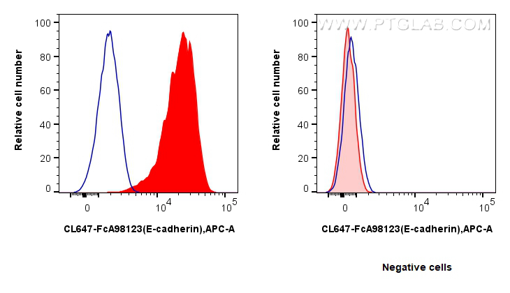 FC experiment of HT-29 using CL647-FcA98123 FC experiment of HT-29 using CL647-FcA98123