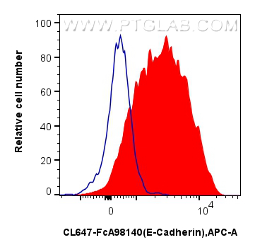 FC experiment of MDCK using CL647-FcA98140