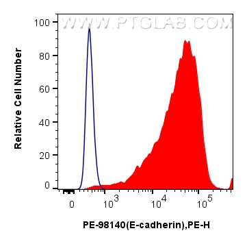FC experiment of MDCK using PE-98140