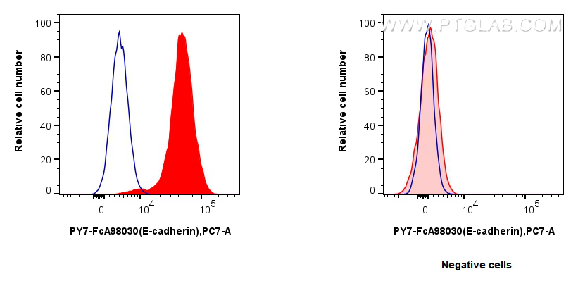FC experiment of MCF-7 using PY7-FcA98030 FC experiment of MCF-7 using PY7-FcA98030
