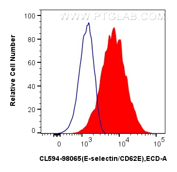 1x10^6 bEnd.3 cells were surface stained with 0.25 ug CoraLite®594 Anti-Mouse E-selectin/CD62E Rabbit RecAb (CL594-98065, Clone:240700D4) (red), or 0.25 ug CoraLite®594 Rabbit IgG Isotype Control RecAb (<a class='green' href='/productredirect?CatalogNo=CL594-98136' target='_blank'>CL594-98136</a>, Clone: 240953C9) (blue). Cells were not fixed. FC experiment of bEnd.3 using CL594-98065