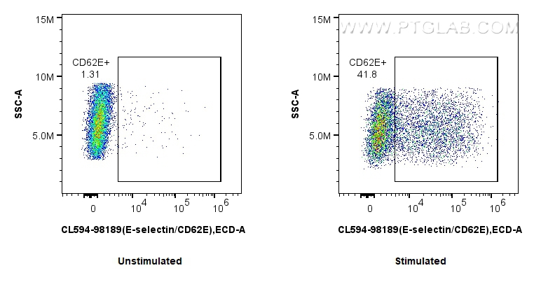 FC experiment of HUVEC using CL594-98189
